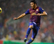 Screenshot №1 pro téma David Villa FC Barcelona 176x144