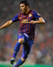 Screenshot №1 pro téma David Villa FC Barcelona 176x220