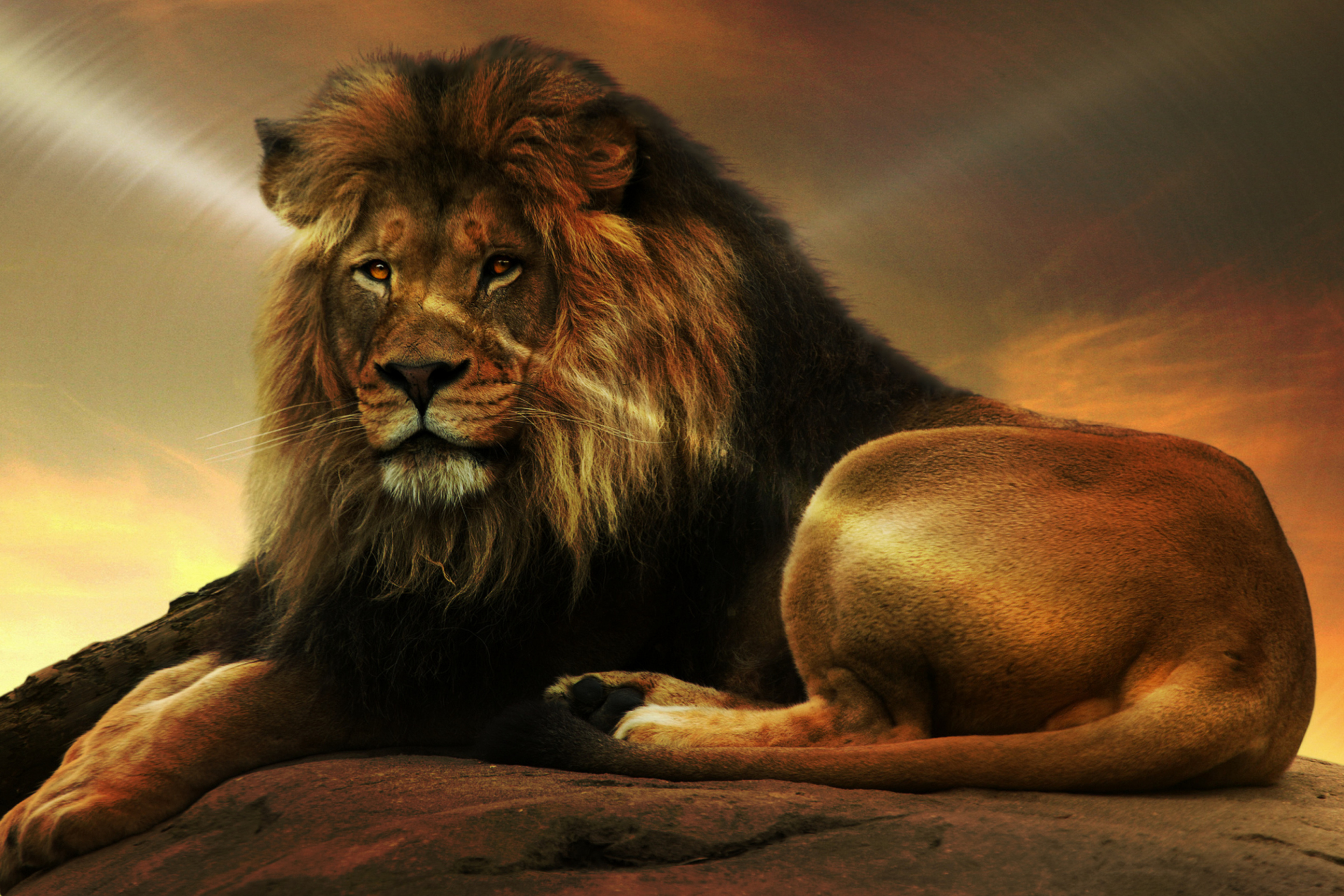 Величественный Лев