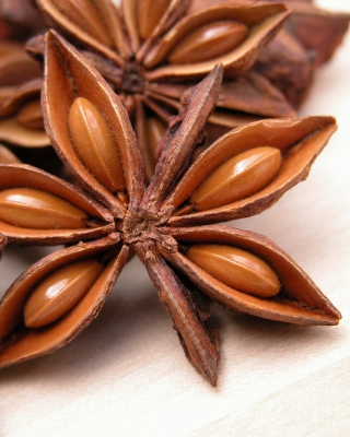 Anise Picture for 768x1280