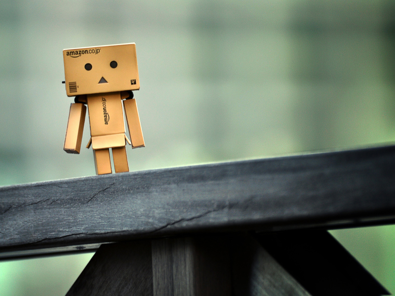 Screenshot №1 pro téma Lonely Danbo 800x600