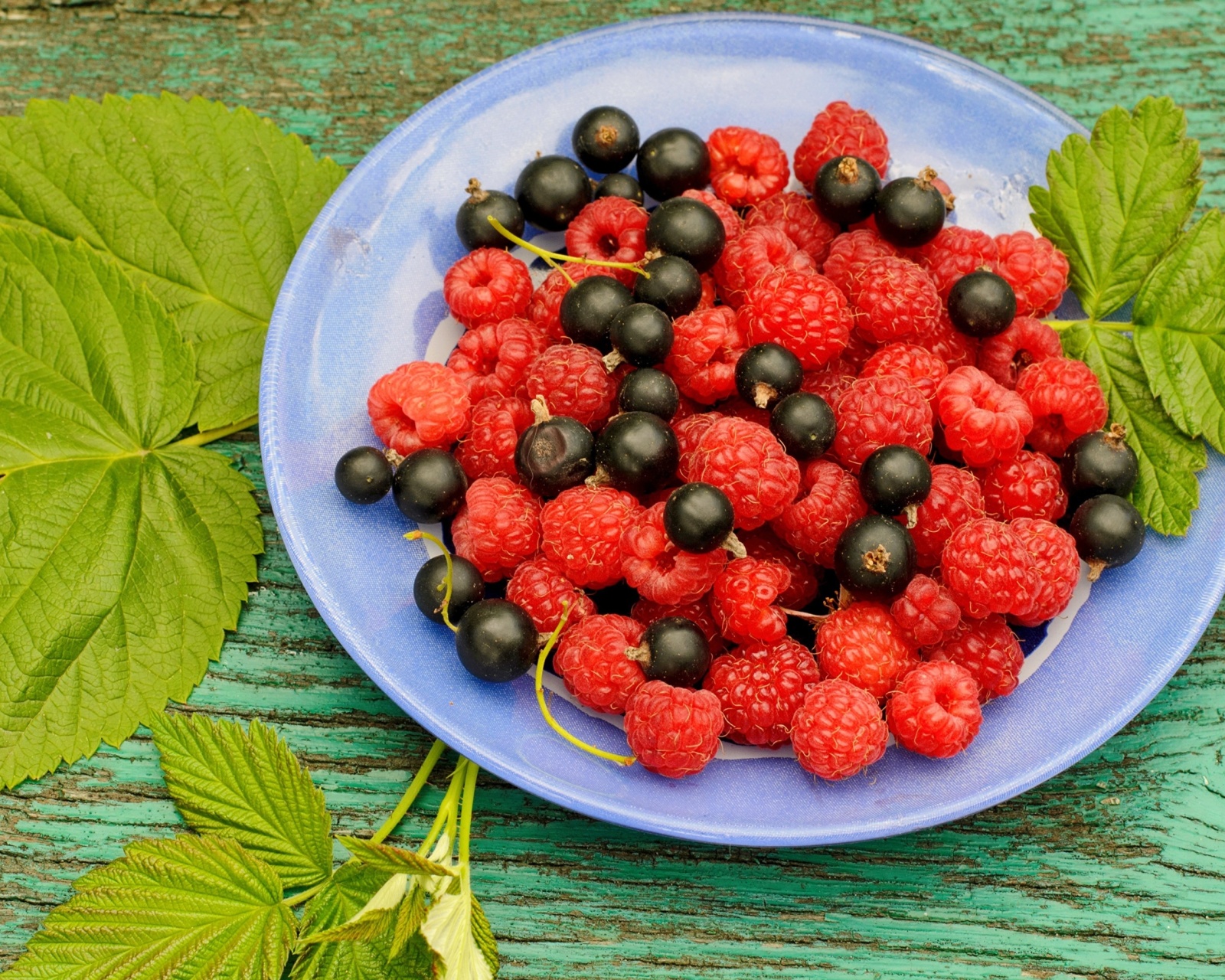 Das Berries in Plate Wallpaper 1600x1280