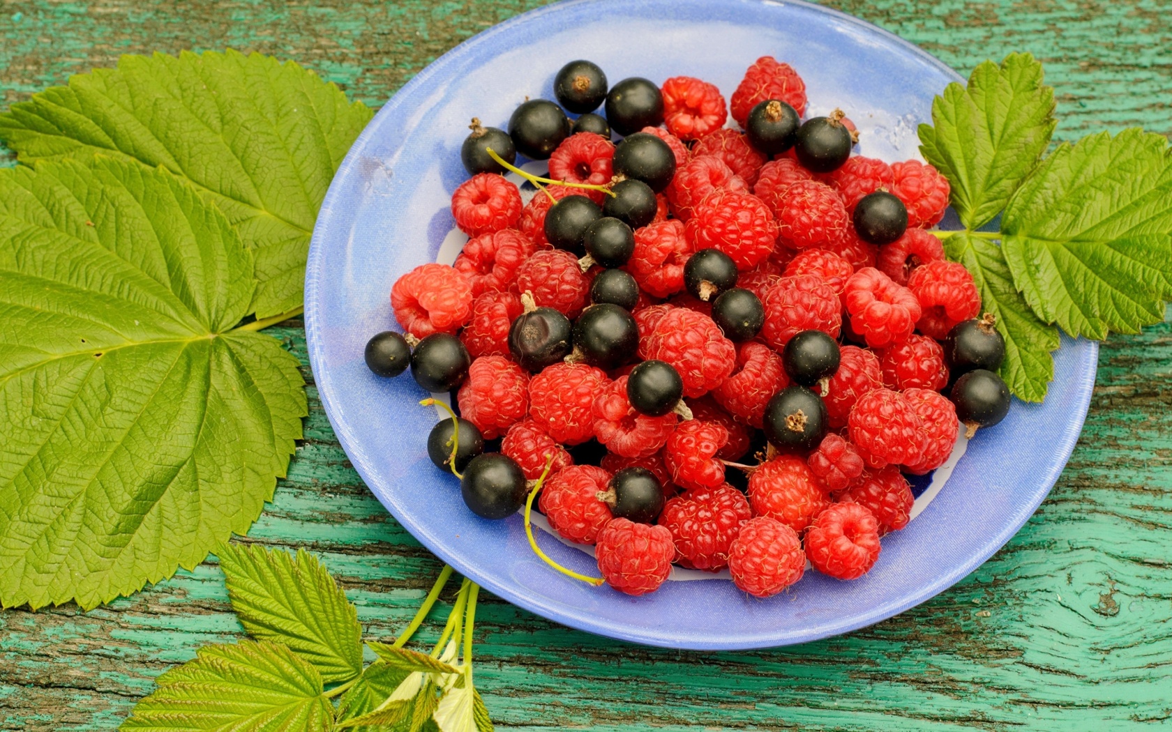 Das Berries in Plate Wallpaper 1680x1050