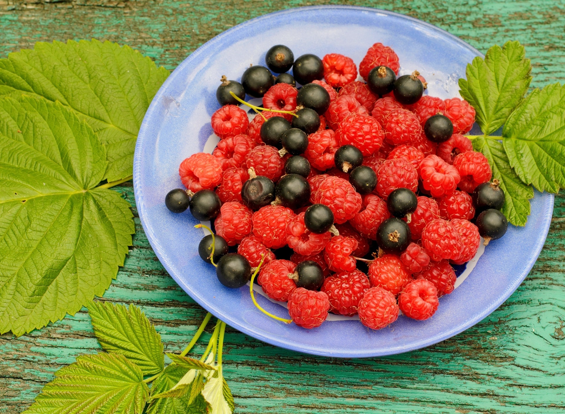 Sfondi Berries in Plate 1920x1408