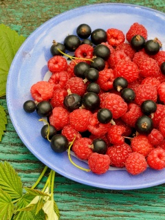 Обои Berries in Plate 240x320