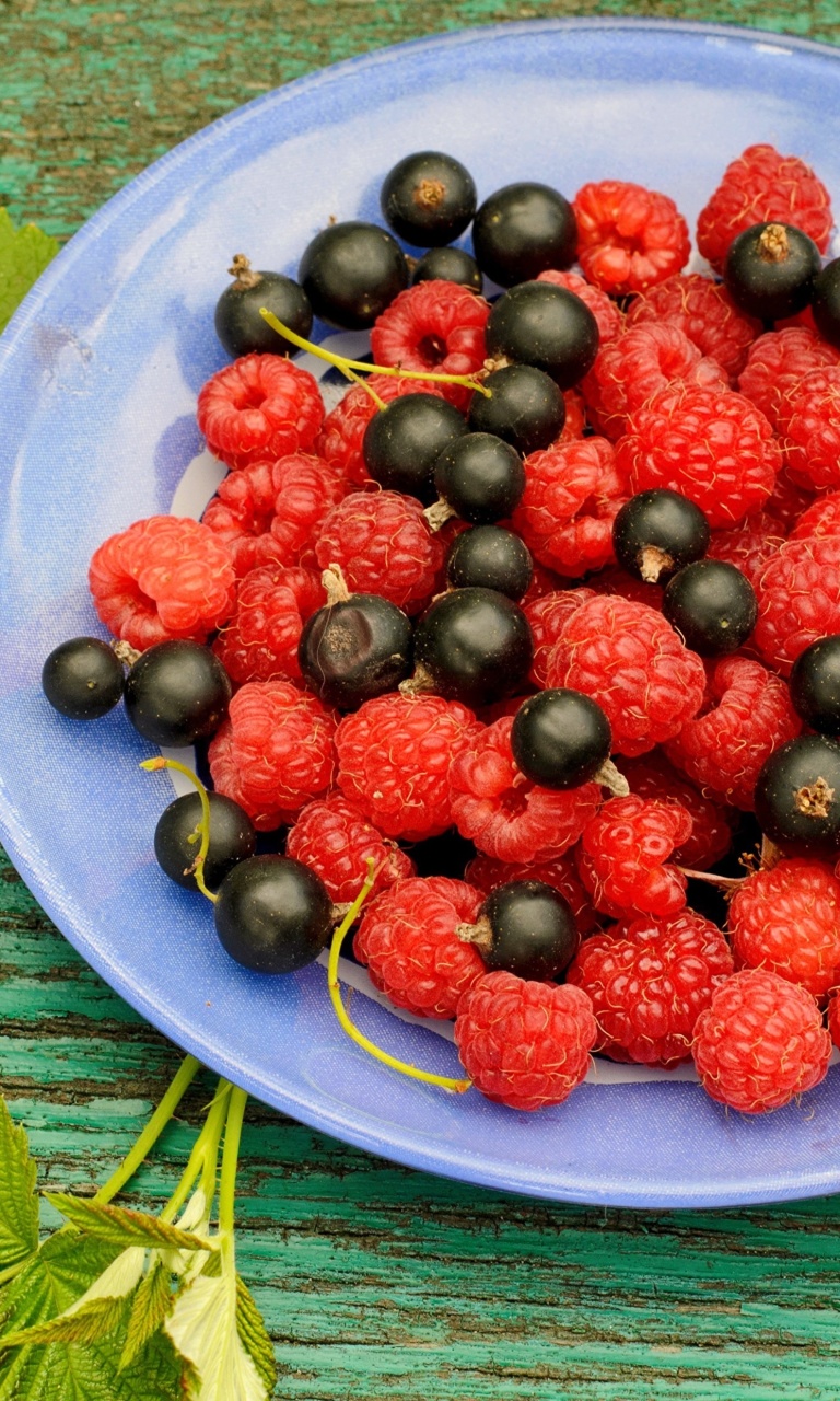 Fondo de pantalla Berries in Plate 768x1280