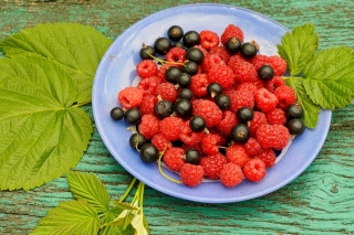 Berries in Plate Background for Android, iPhone and iPad