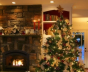 Обои Christmas Tree At Home 176x144