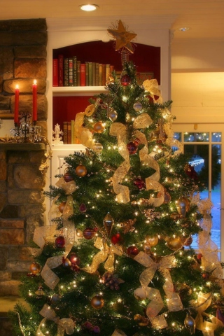 Screenshot №1 pro téma Christmas Tree At Home 320x480
