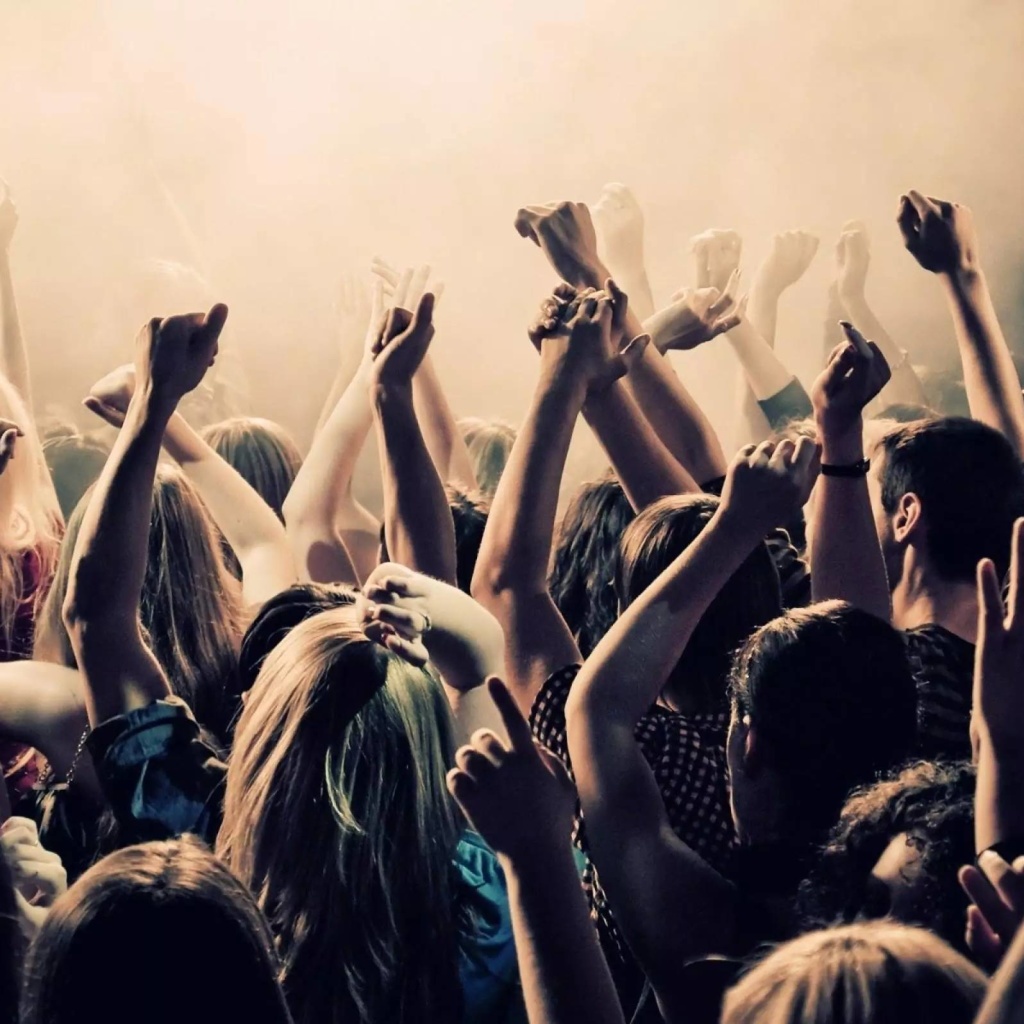 Fondo de pantalla Crazy Party in Night Club, Put your hands up 1024x1024