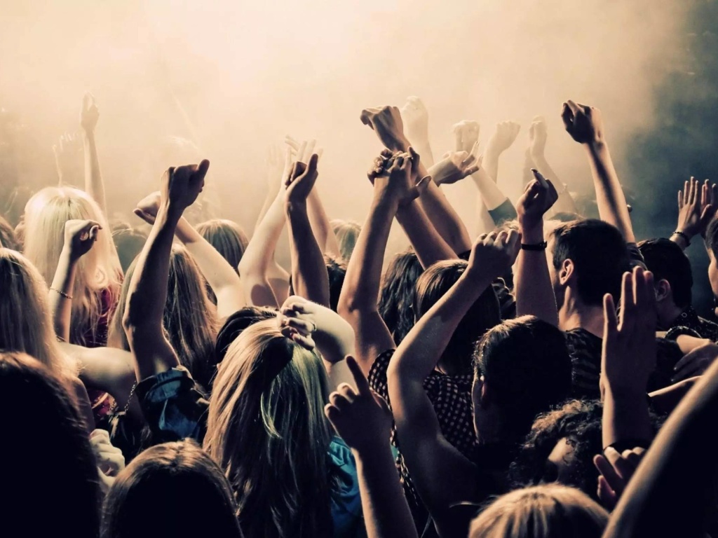 Fondo de pantalla Crazy Party in Night Club, Put your hands up 1024x768