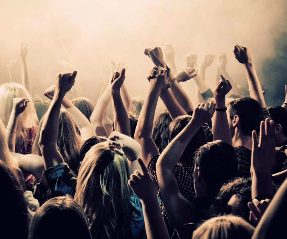 Crazy Party in Night Club, Put your hands up wallpaper 960x800
