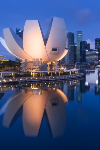 Singapore in Southeast Asia wallpaper 320x480