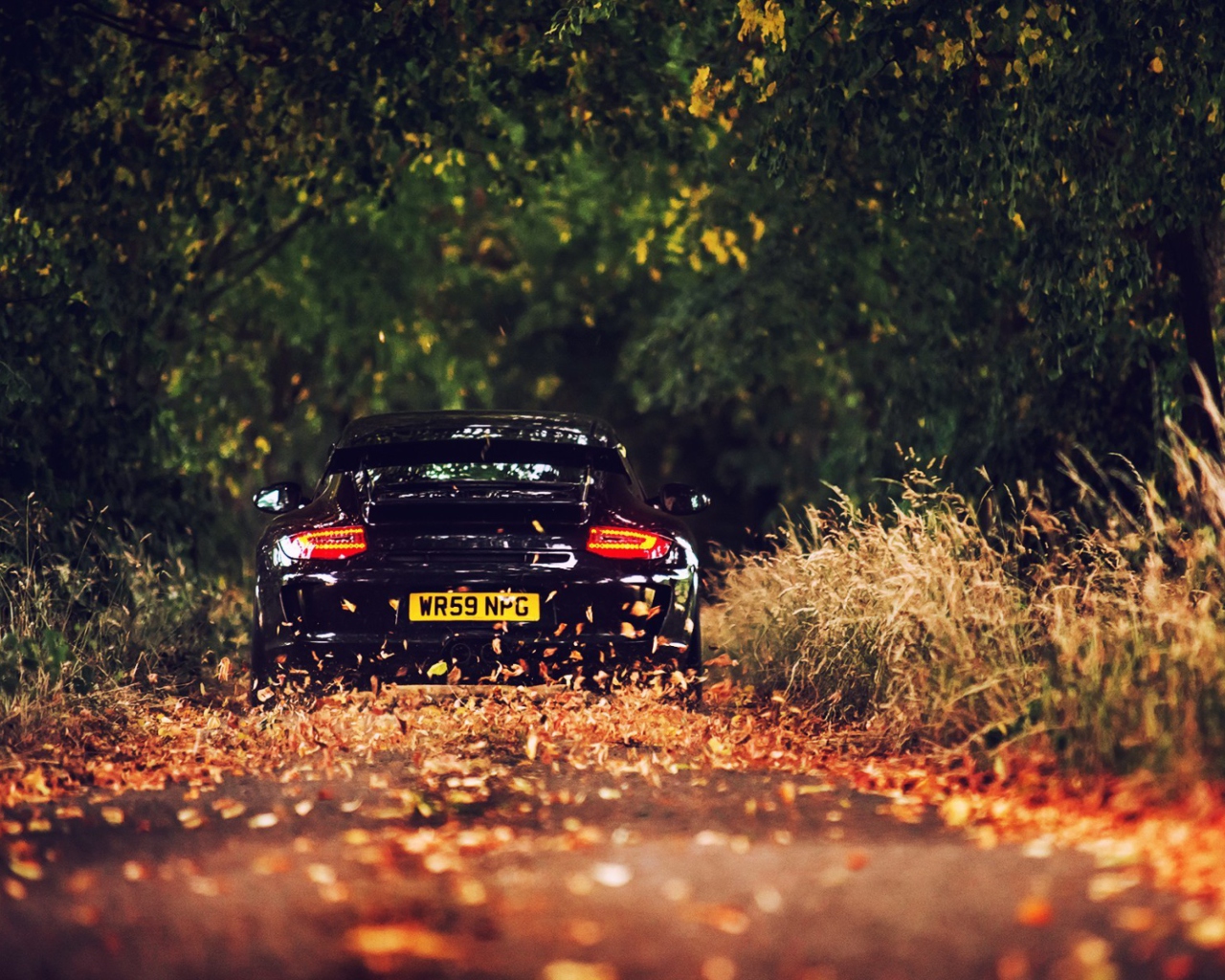 Screenshot №1 pro téma Rainy Autumn Road Drive 1280x1024