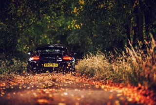Rainy Autumn Road Drive Wallpaper for Android, iPhone and iPad