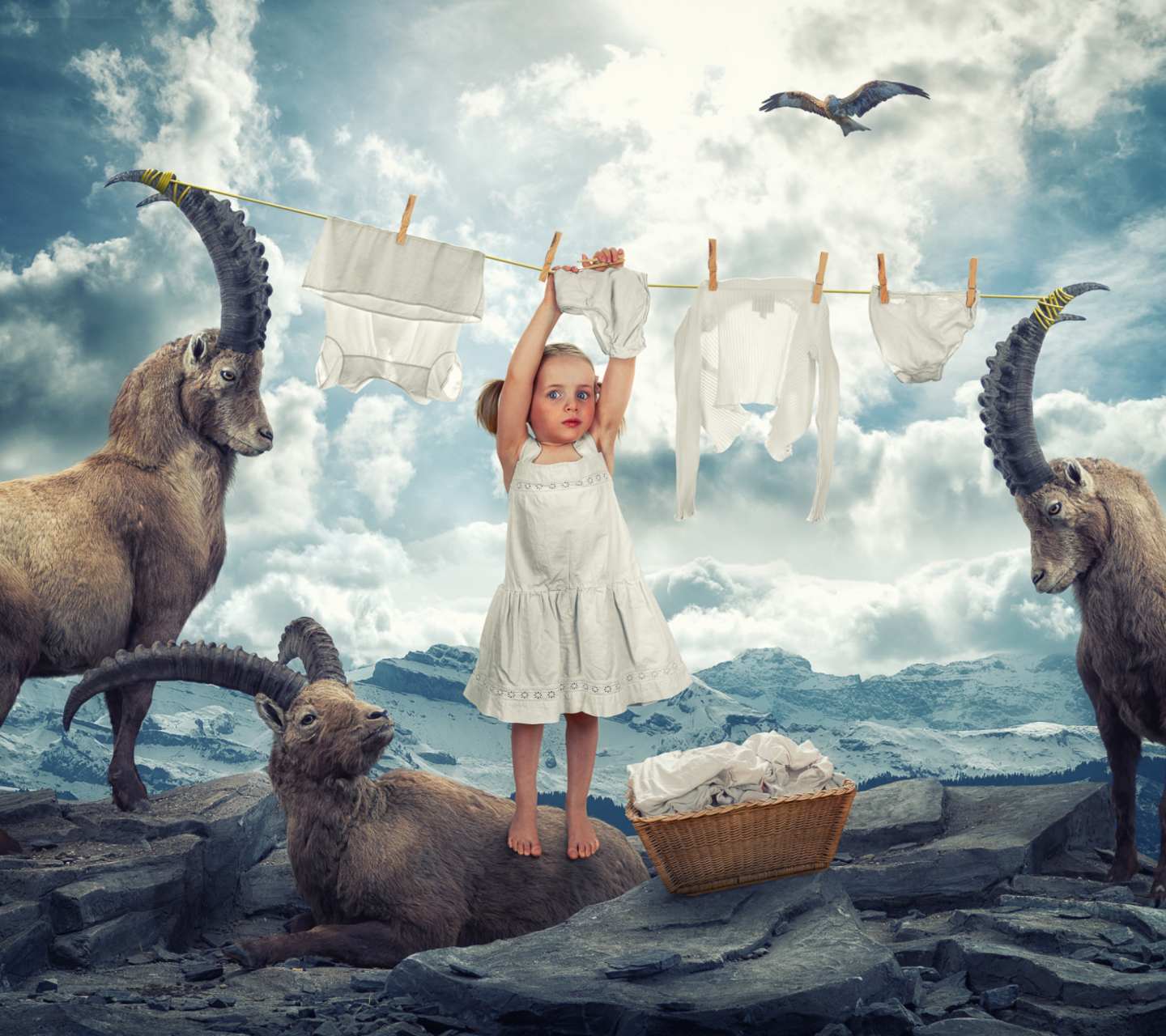 Fantasy Laundry wallpaper 1440x1280