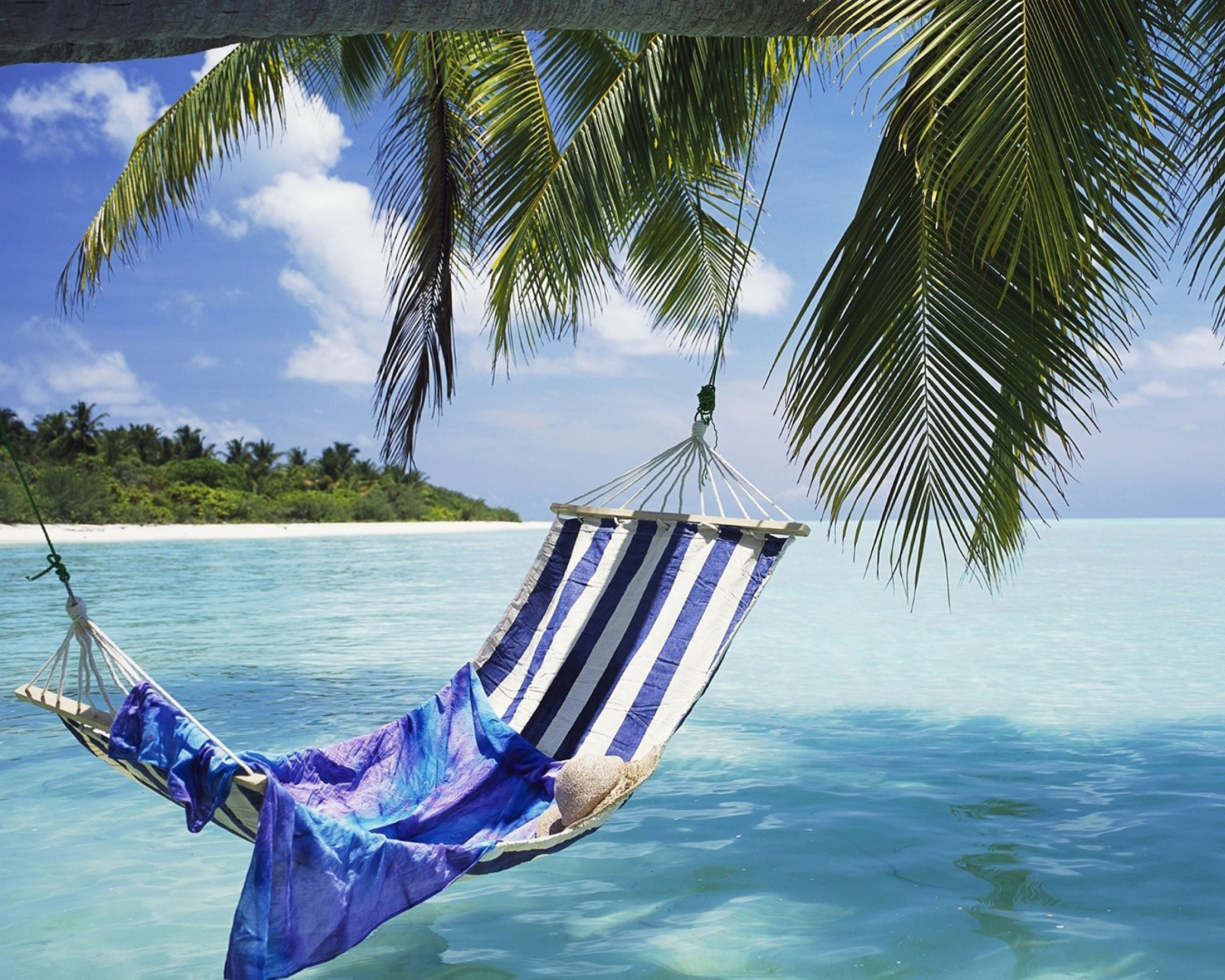 Screenshot №1 pro téma Hammock Under Palm Tree Leaves In Maldives 1600x1280