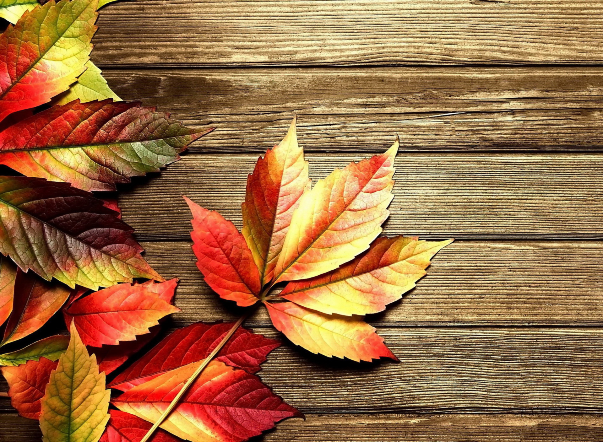 Das Autumn Leaves Wallpaper 1920x1408