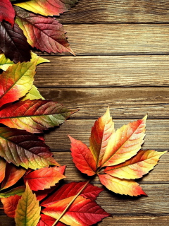 Autumn Leaves screenshot #1 240x320