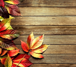 Autumn Leaves - Fondos de pantalla gratis para iPad