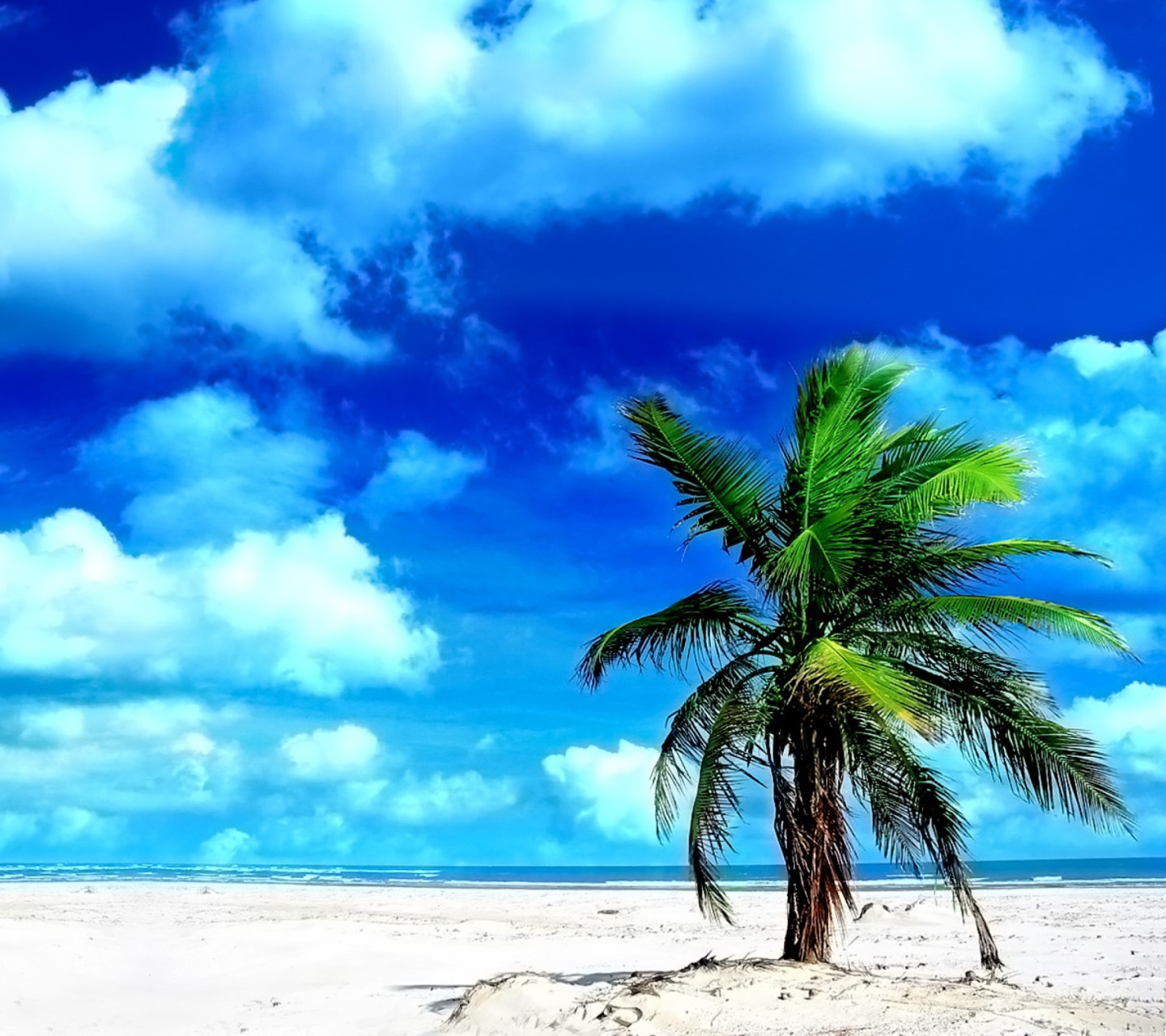 Screenshot №1 pro téma On The Beach 1440x1280