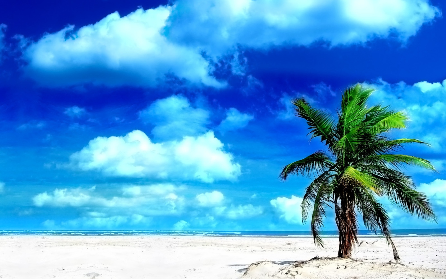 Fondo de pantalla On The Beach 1440x900