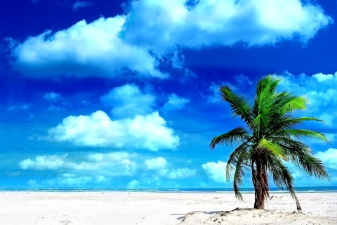 Das On The Beach Wallpaper 480x320