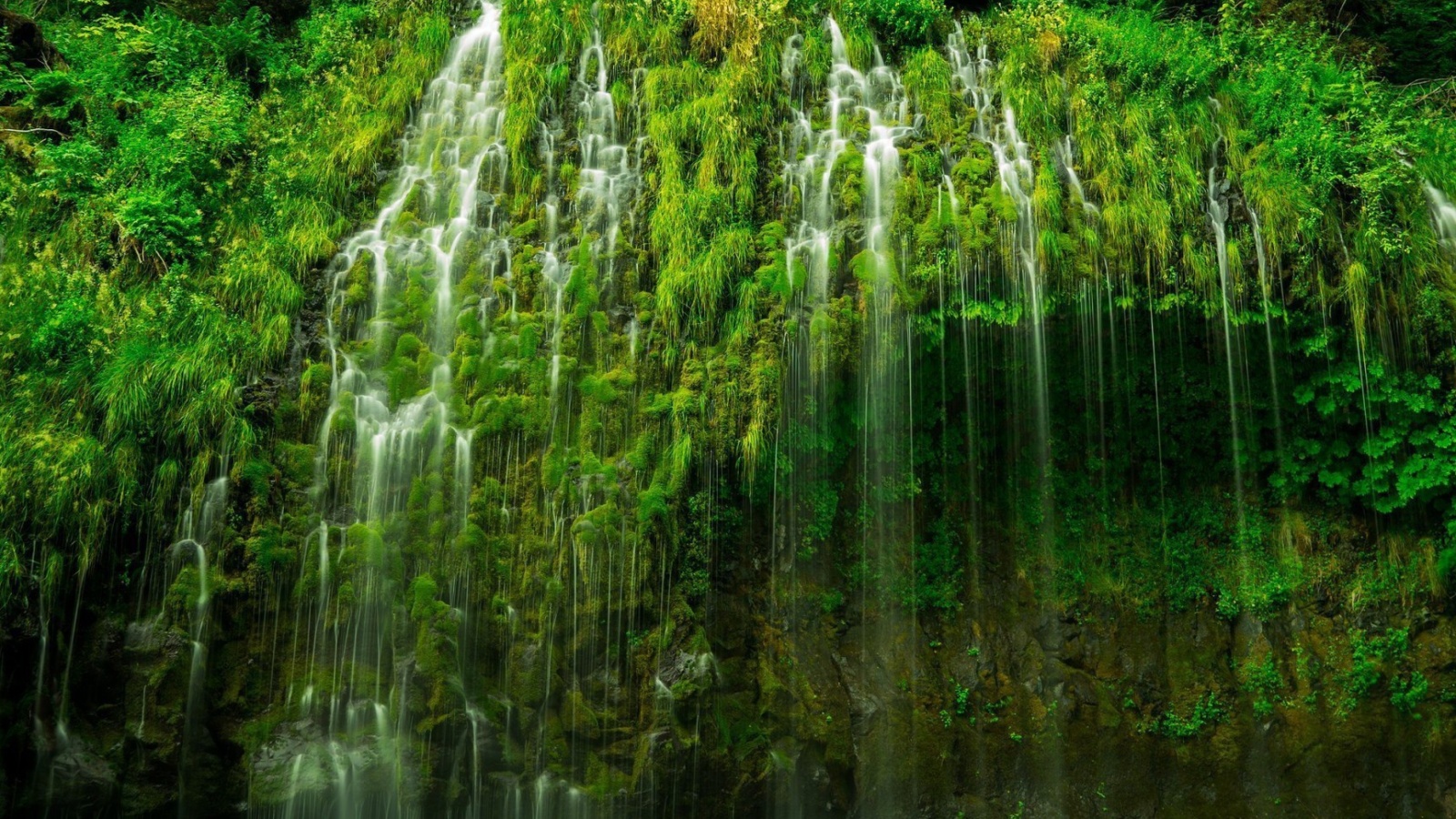 Waterfll in National Park screenshot #1 1600x900