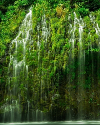 Kostenloses Waterfll in National Park Wallpaper für Nokia C5-06