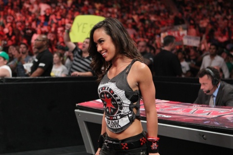 AJ Lee WWE Diva screenshot #1 480x320