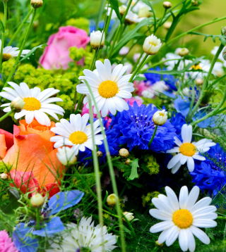 Flower Bouquet - Obrázkek zdarma pro Nokia Asha 306