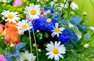 Flower Bouquet - Obrázkek zdarma pro Samsung Galaxy Grand 2