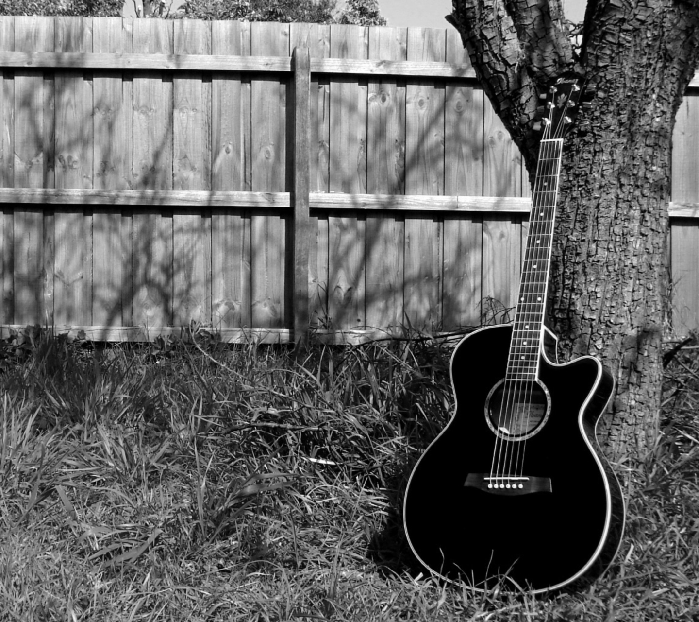 Обои My Black Acoustic Guitar 1440x1280