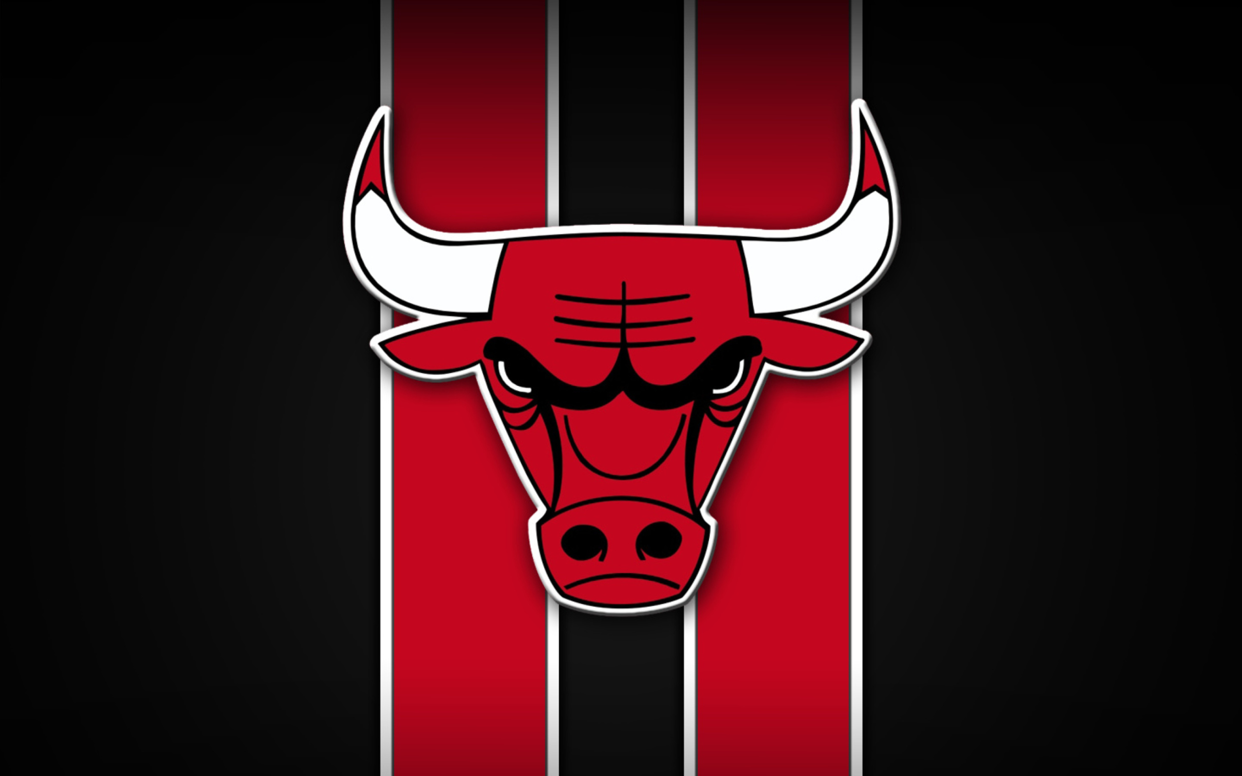 Screenshot №1 pro téma Chicago Bulls 2560x1600