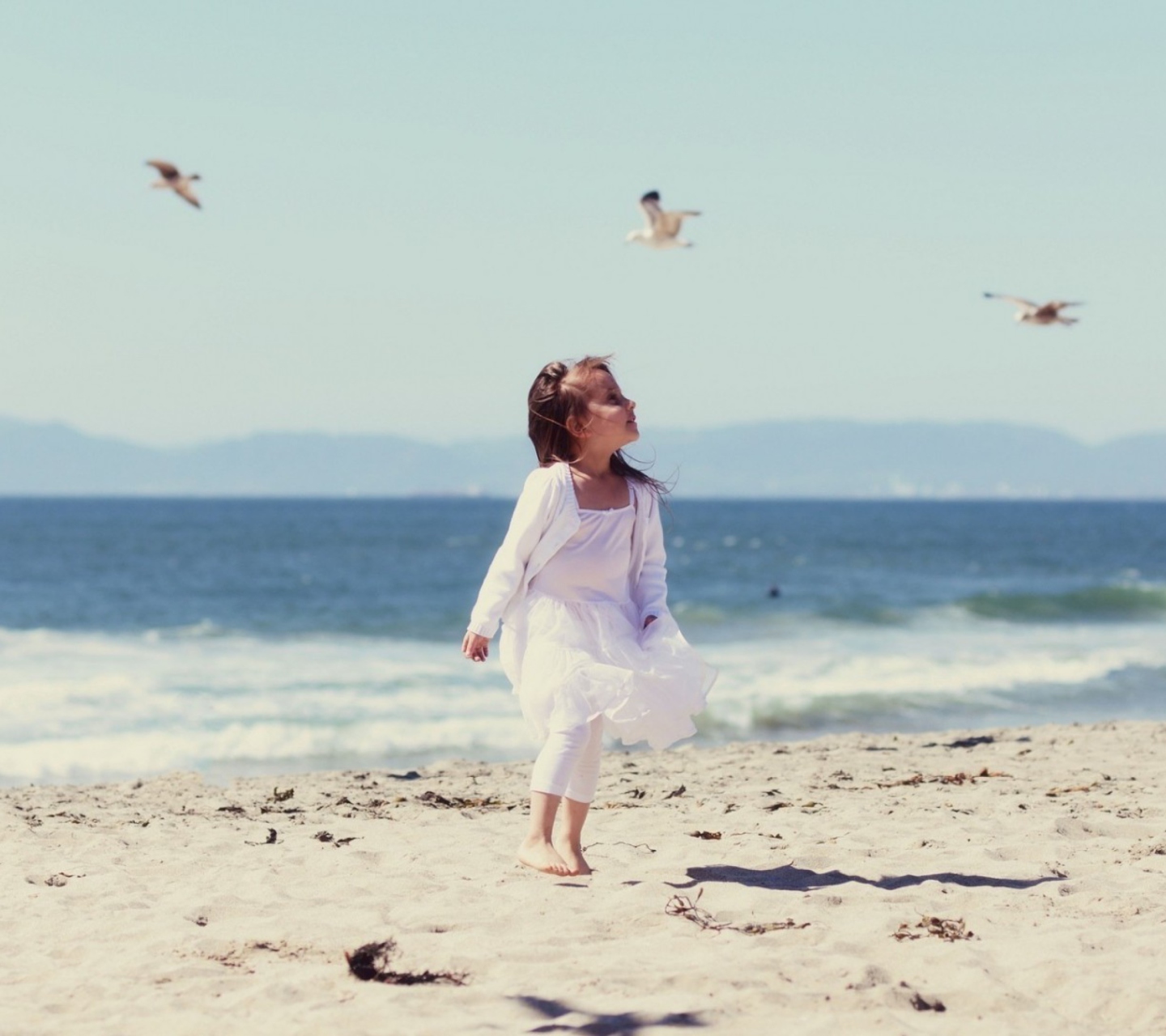 Das Little Girl And Seagulls On Beach Wallpaper 1440x1280