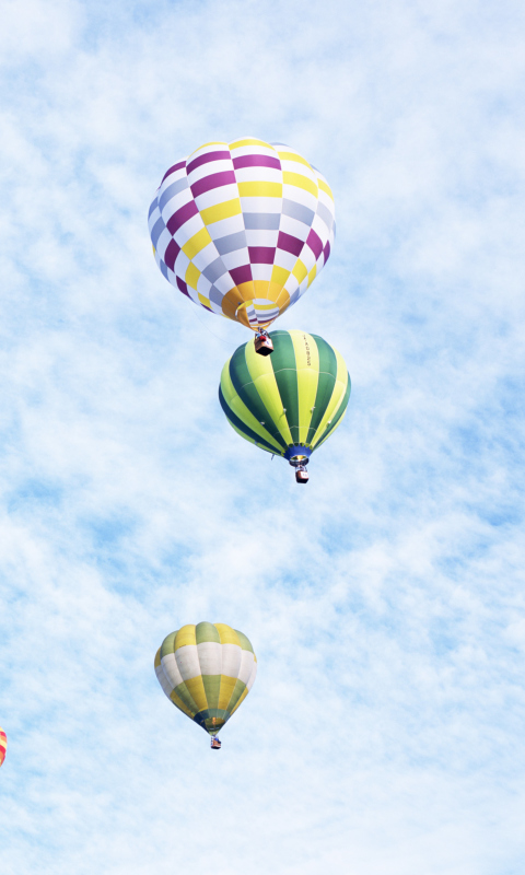 Das Air Balloons Wallpaper 480x800