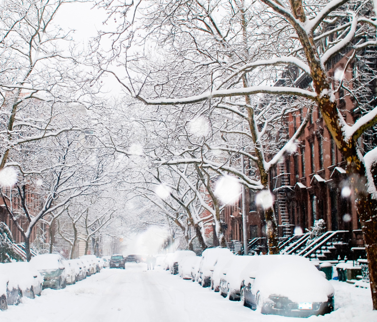 Screenshot №1 pro téma Winter On New York Streets 1200x1024