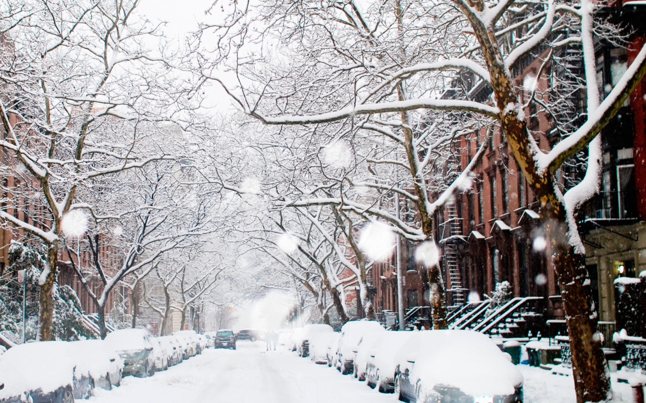 Winter On New York Streets wallpaper 1280x800