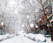 Screenshot №1 pro téma Winter On New York Streets 176x144