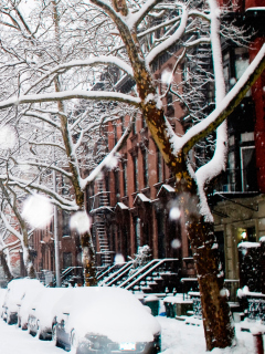 Fondo de pantalla Winter On New York Streets 240x320