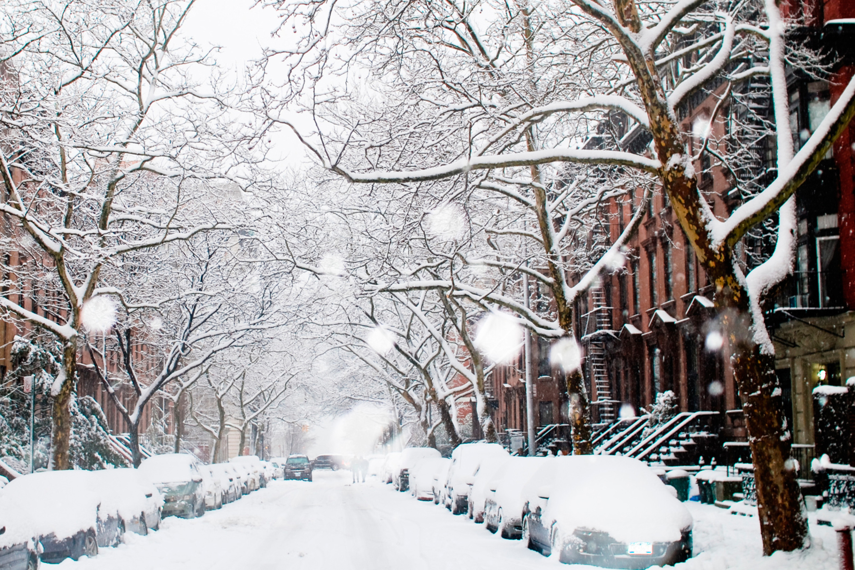 Screenshot №1 pro téma Winter On New York Streets 2880x1920