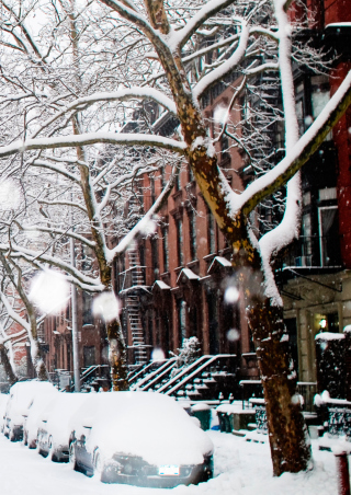 Winter On New York Streets - Obrázkek zdarma pro Nokia Asha 310