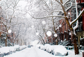 Winter On New York Streets - Obrázkek zdarma pro Samsung Galaxy Nexus