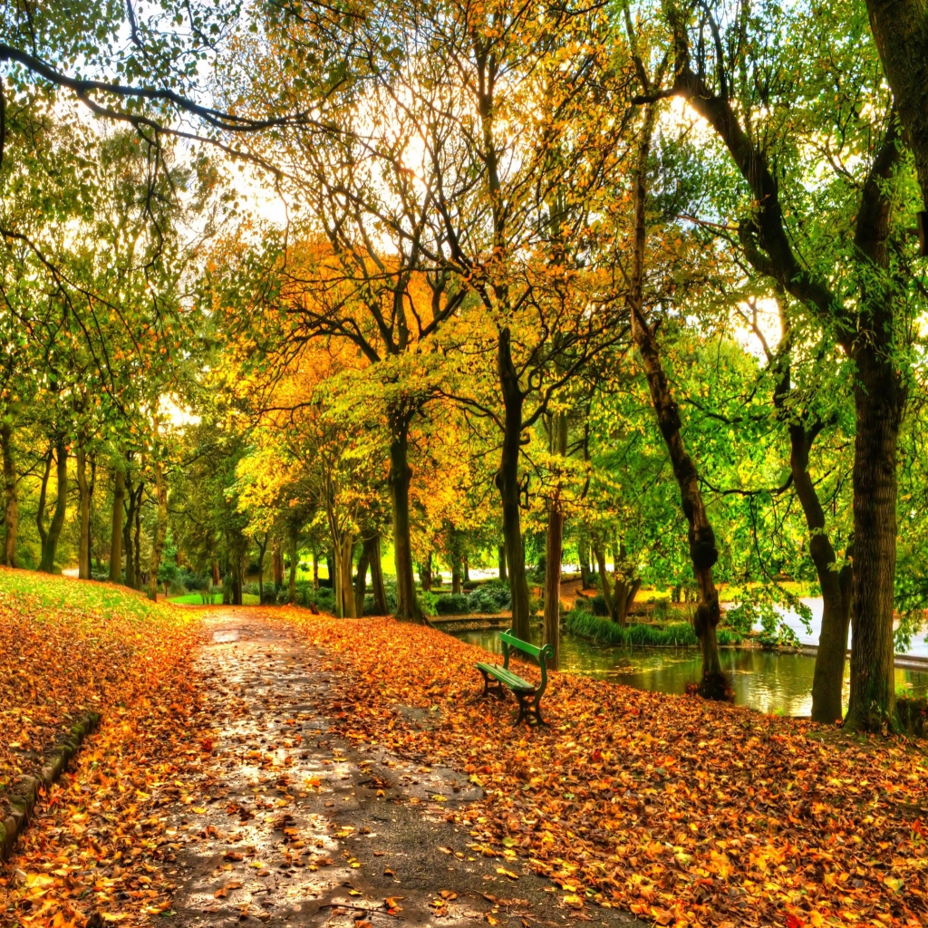 Das Autumn In New York Central Park Wallpaper 1024x1024