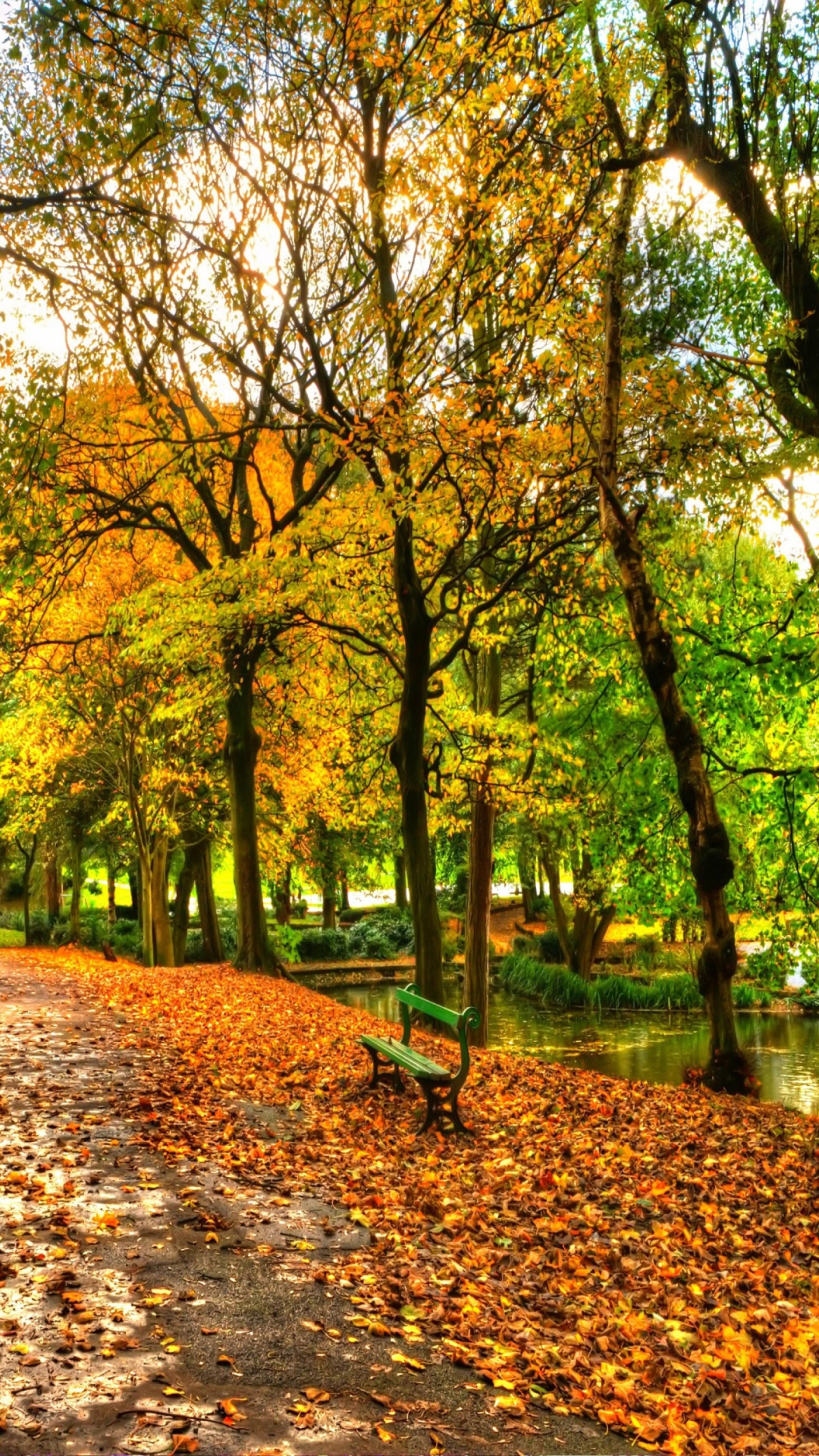 Autumn In New York Central Park screenshot #1 1080x1920