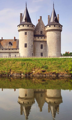 Chateau de Sully wallpaper 240x400