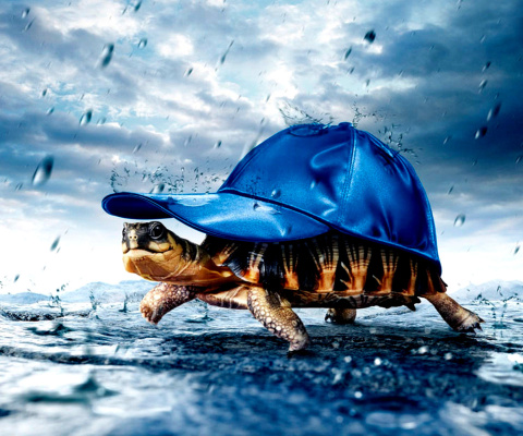 Screenshot №1 pro téma Funny Turtle 480x400