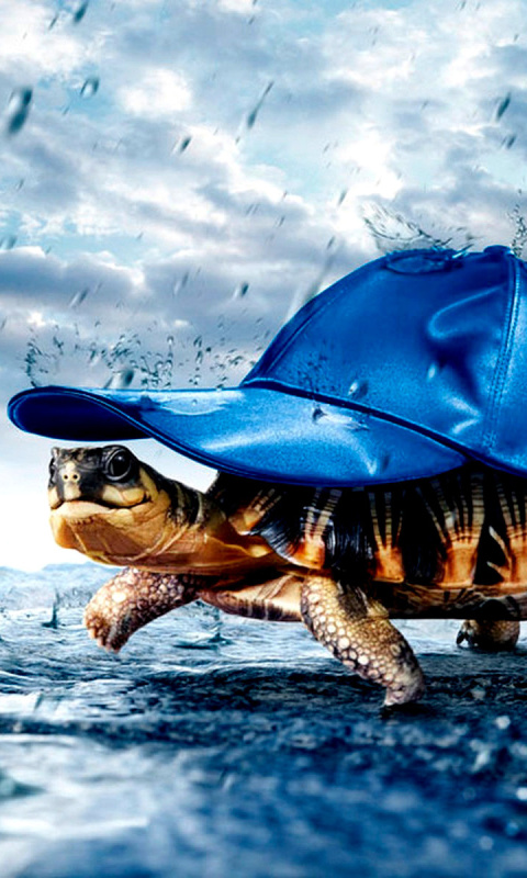 Screenshot №1 pro téma Funny Turtle 480x800