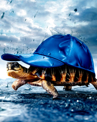 Funny Turtle - Obrázkek zdarma pro Nokia Asha 305