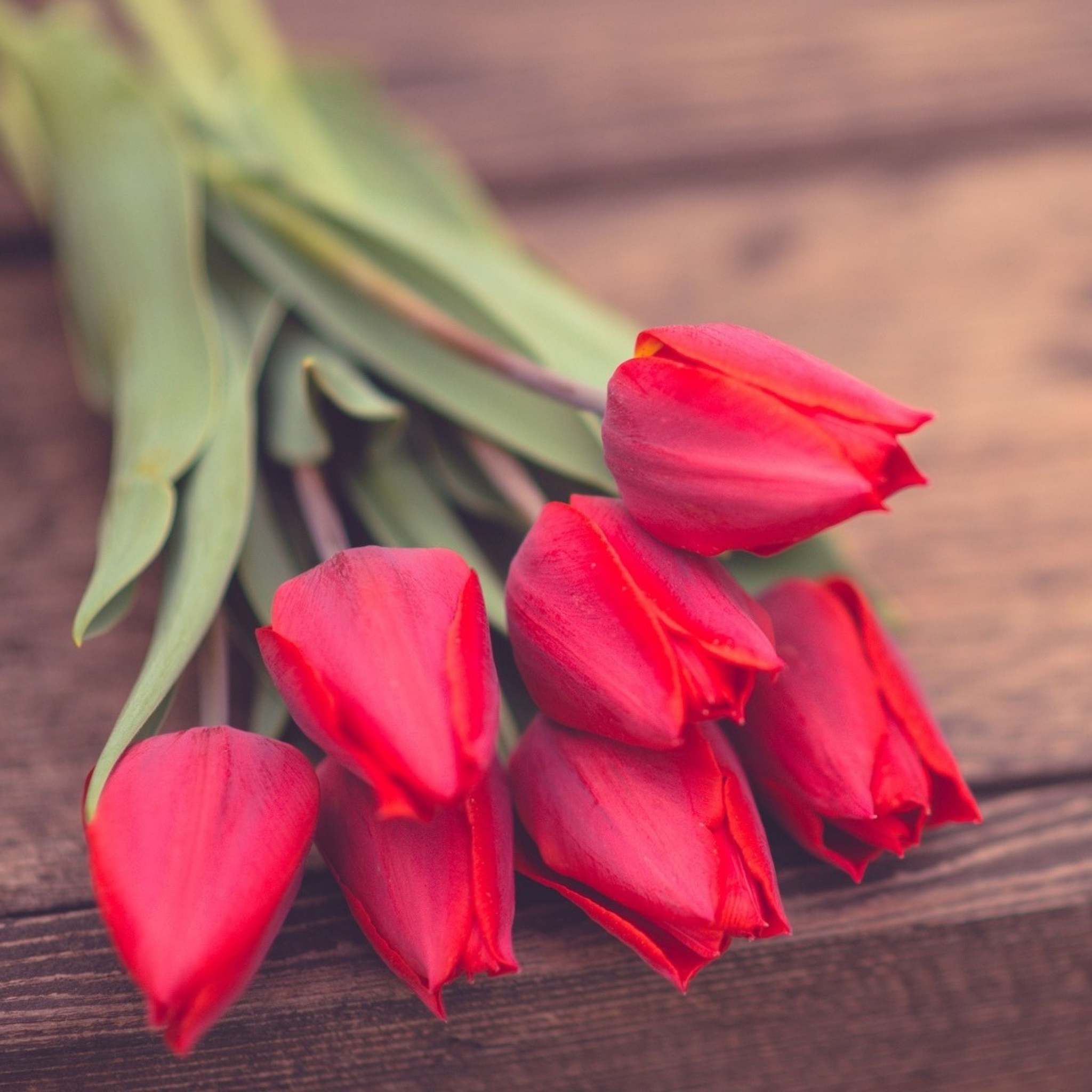 Red Tulip Bouquet On Wooden Bench screenshot #1 2048x2048
